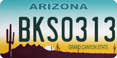 AZ license plate BKS0313