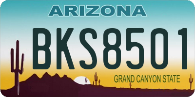 AZ license plate BKS8501