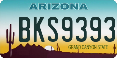 AZ license plate BKS9393