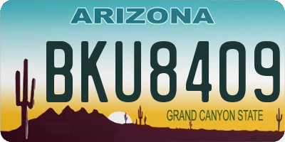 AZ license plate BKU8409