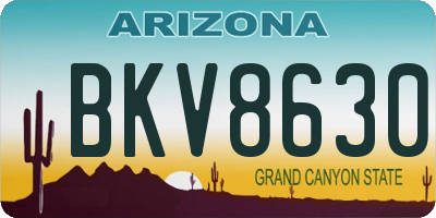 AZ license plate BKV8630