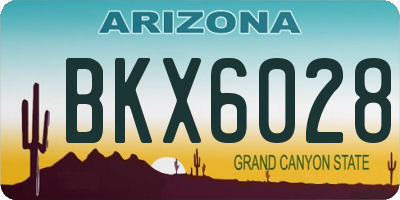 AZ license plate BKX6028