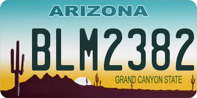 AZ license plate BLM2382