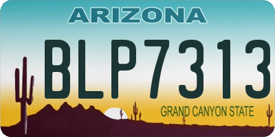 AZ license plate BLP7313