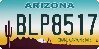 AZ license plate BLP8517