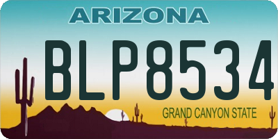 AZ license plate BLP8534