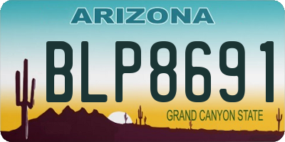 AZ license plate BLP8691