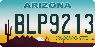 AZ license plate BLP9213