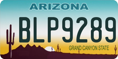 AZ license plate BLP9289