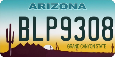 AZ license plate BLP9308