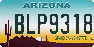 AZ license plate BLP9318