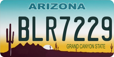 AZ license plate BLR7229