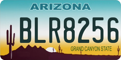 AZ license plate BLR8256