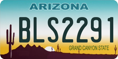 AZ license plate BLS2291