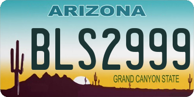 AZ license plate BLS2999