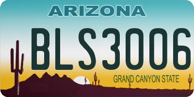 AZ license plate BLS3006