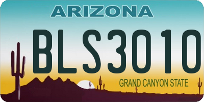 AZ license plate BLS3010