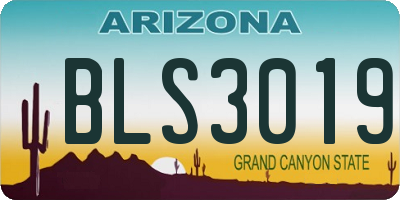 AZ license plate BLS3019
