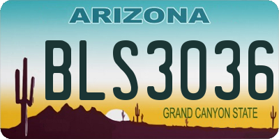 AZ license plate BLS3036