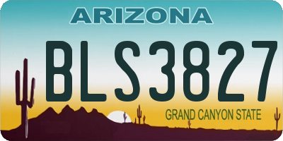 AZ license plate BLS3827