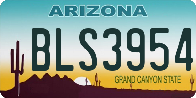 AZ license plate BLS3954