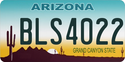AZ license plate BLS4022