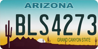 AZ license plate BLS4273