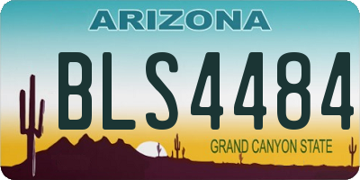 AZ license plate BLS4484