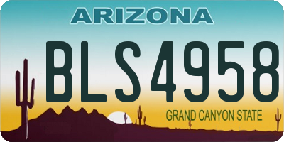 AZ license plate BLS4958