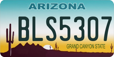 AZ license plate BLS5307