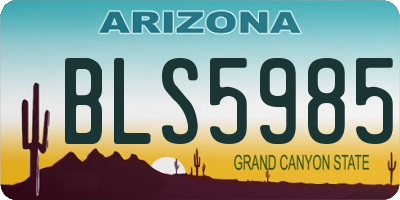 AZ license plate BLS5985