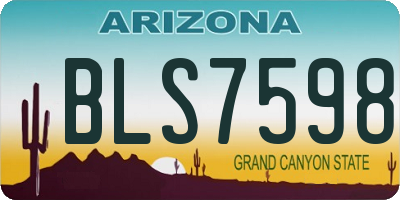 AZ license plate BLS7598