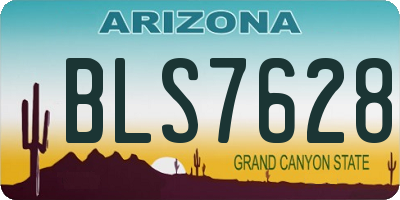 AZ license plate BLS7628