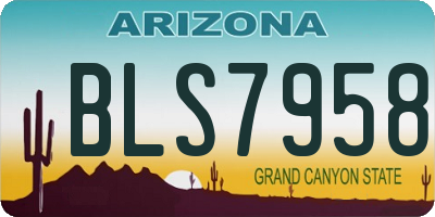 AZ license plate BLS7958
