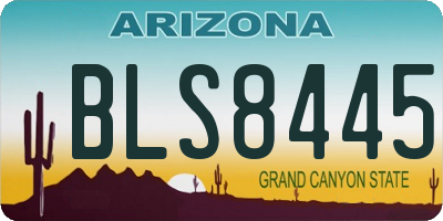 AZ license plate BLS8445