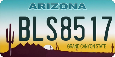 AZ license plate BLS8517