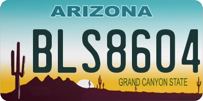 AZ license plate BLS8604