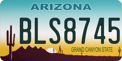 AZ license plate BLS8745