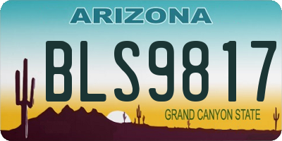 AZ license plate BLS9817