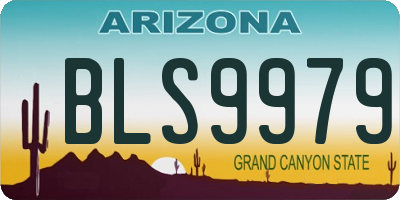 AZ license plate BLS9979