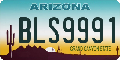AZ license plate BLS9991