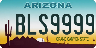 AZ license plate BLS9999