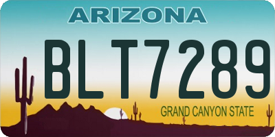 AZ license plate BLT7289
