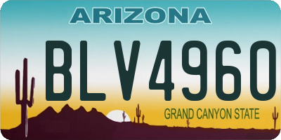 AZ license plate BLV4960
