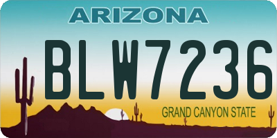 AZ license plate BLW7236