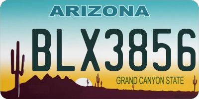 AZ license plate BLX3856
