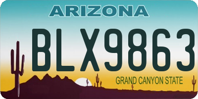AZ license plate BLX9863
