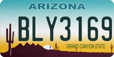 AZ license plate BLY3169