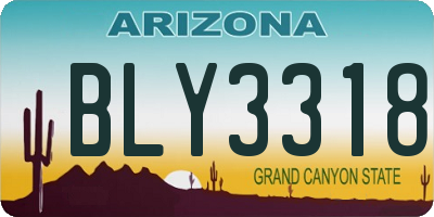 AZ license plate BLY3318
