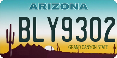 AZ license plate BLY9302